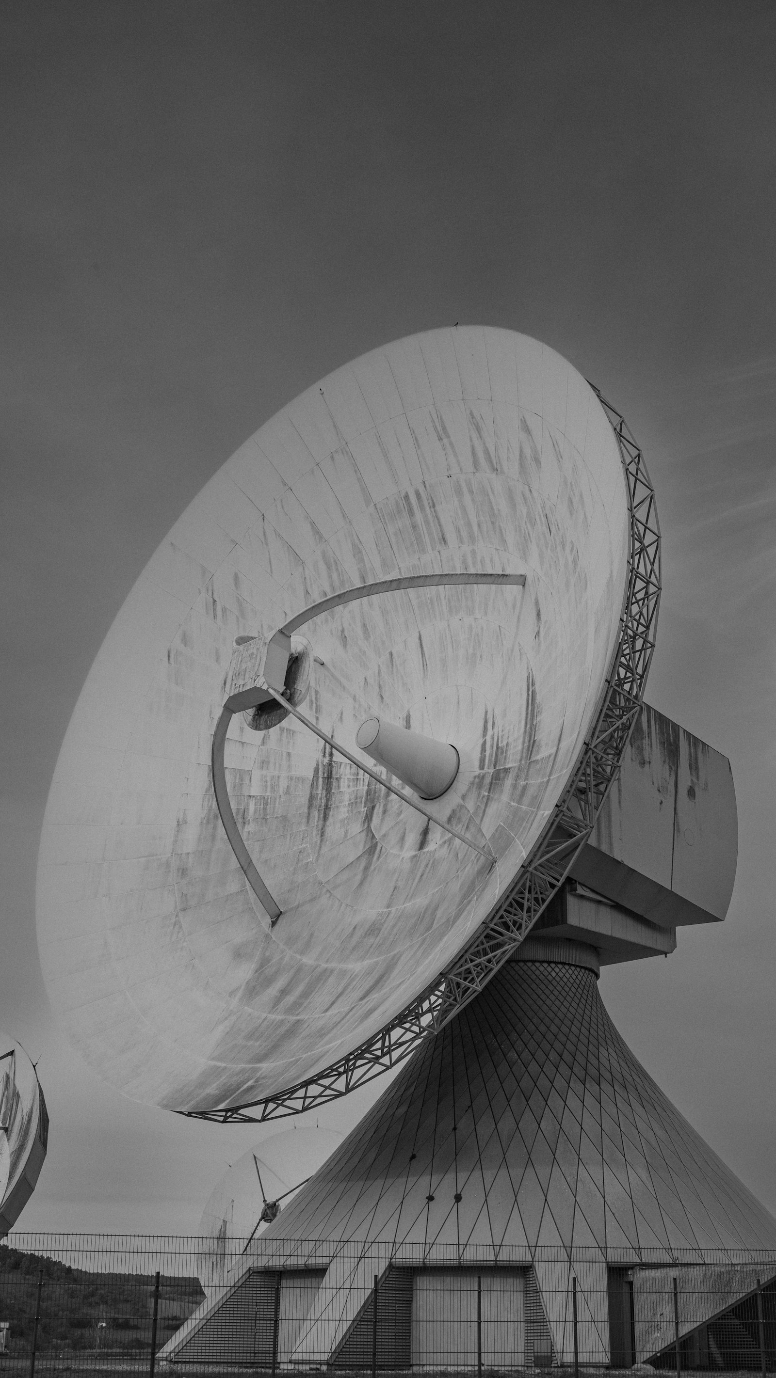 Starlink vs Fiber Optik di Bali: Mana yang Cocok buat Rumah?